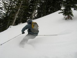 Black Diamond Covert Avalung Pack