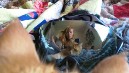 Caitlin