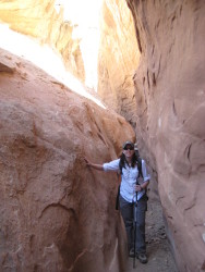 Trangos in the desert