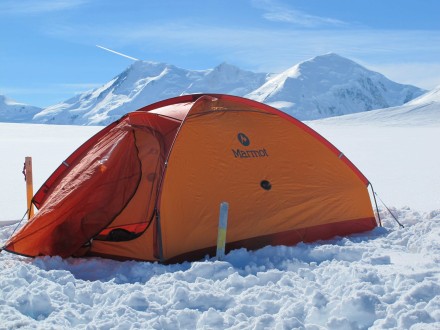 Standing tall in the St-Elias