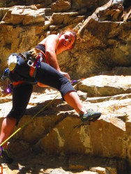 BD harness