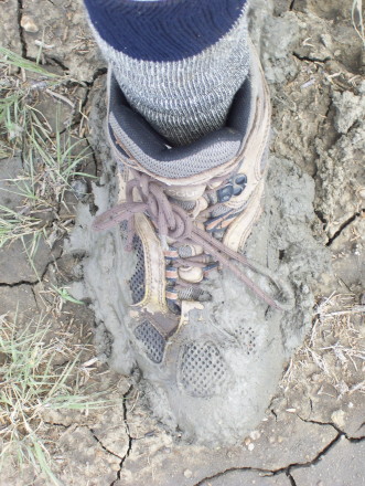 Mud not good