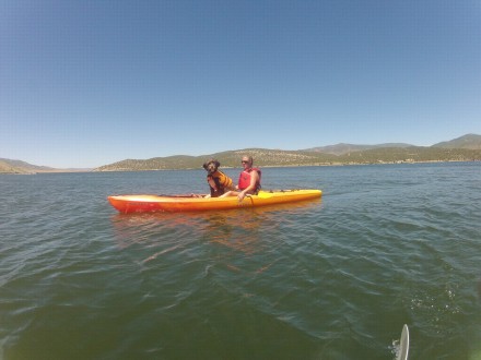 dog kayak