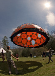 The flying Space Station