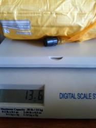 Regular size Xlite