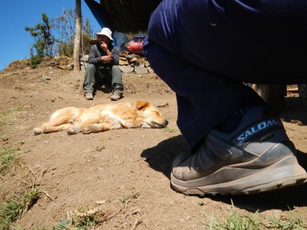 On the Salkantay Trail to Machu Picchu