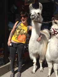they look good with llamas