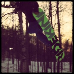 Steezy Tail 3