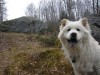 Yeti!