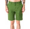 Cactus Color