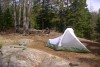 Algonquin