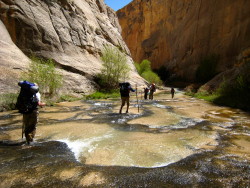 escalante , Box Death hollow