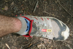 Great shoes
