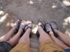 A herd of Chacos in their natural environment
