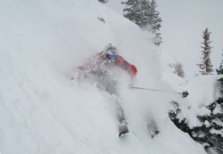 A deep day at the bird
