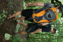 Descent