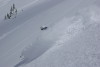 Alta Backcountry