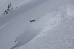 Alta Backcountry