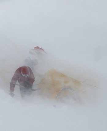 Cold Alpine Action Suit