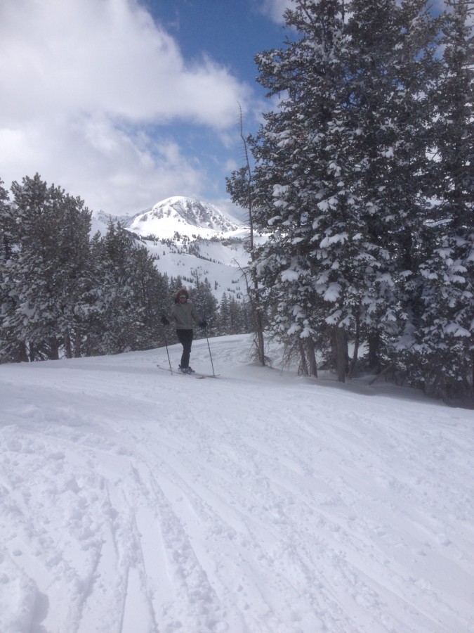 Great Jacket, Very Durable