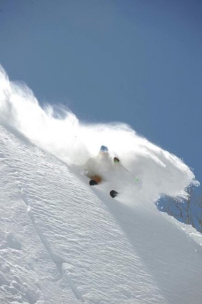 ONE SKI QUIVER