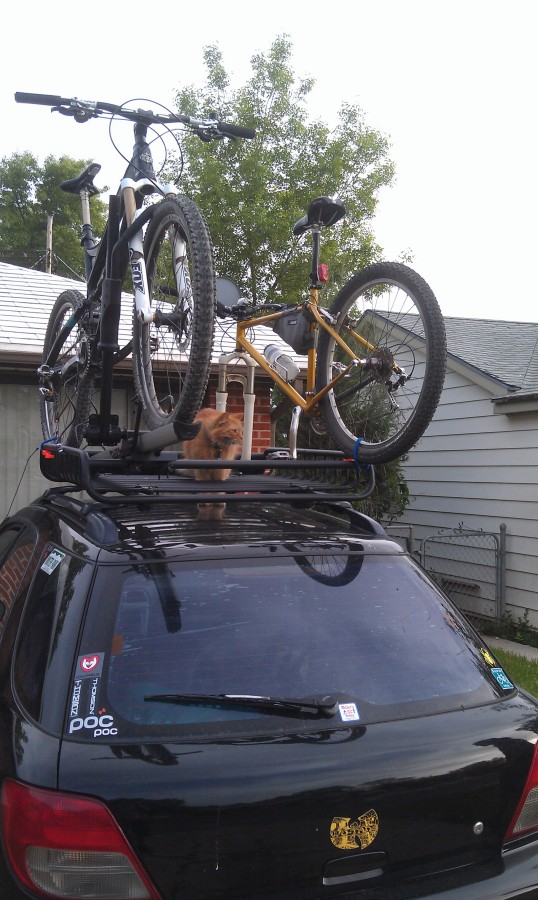 load warrior roof rack
