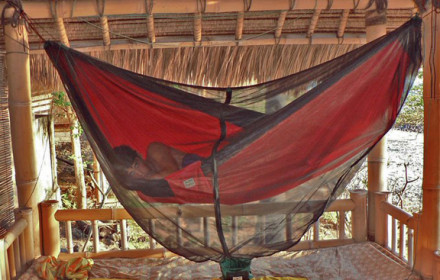 bungalow bliss in net cocoon