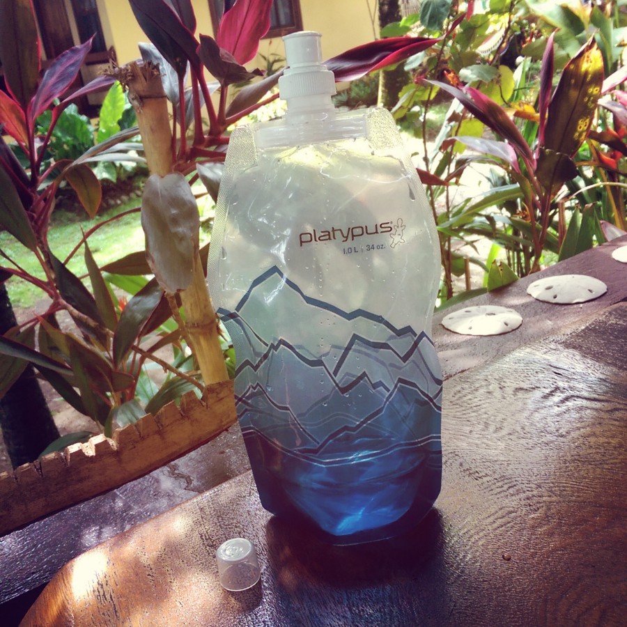 GREAT for airplane seatback pockets!!