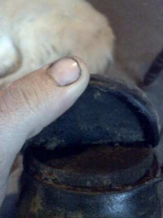 1 year and out soles are coming unglued