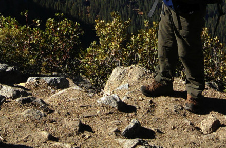 Solid, Durable Pants