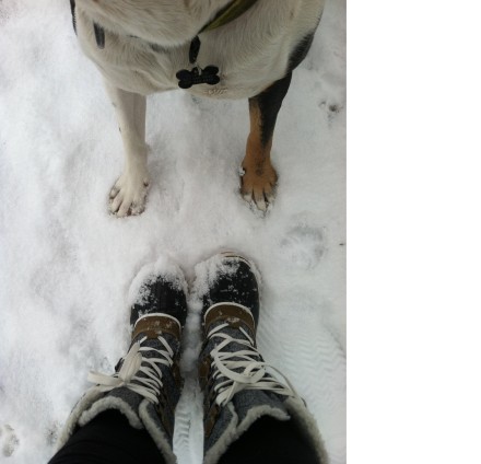 Tough, Warm, Cute & Dog Approved