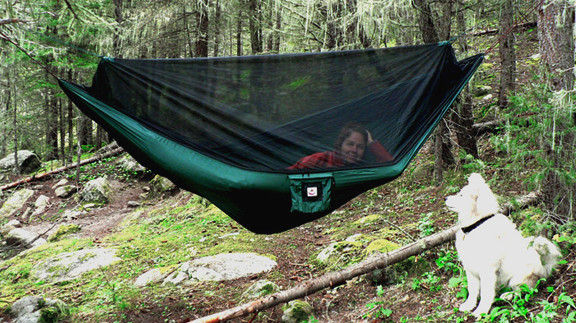 Now that is one smart dog