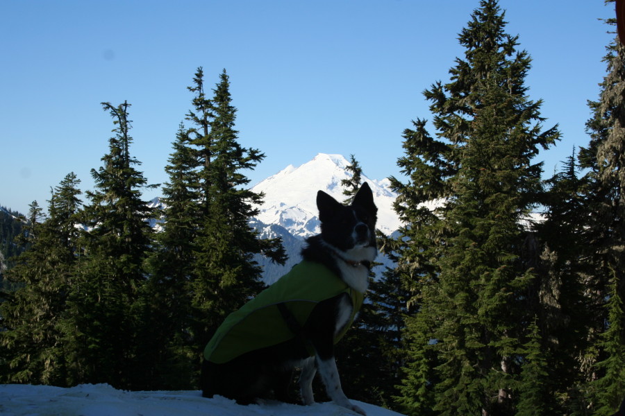 Great all around coat