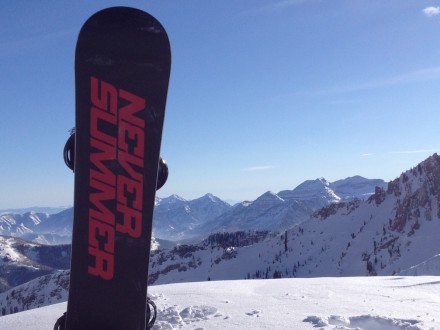 Raptor on Baldy
