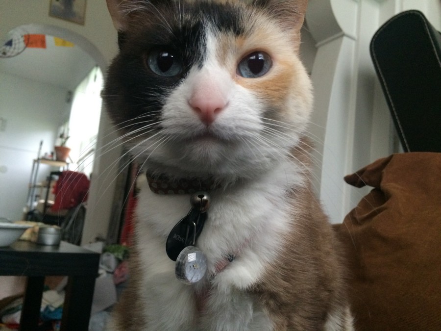 That's what she said