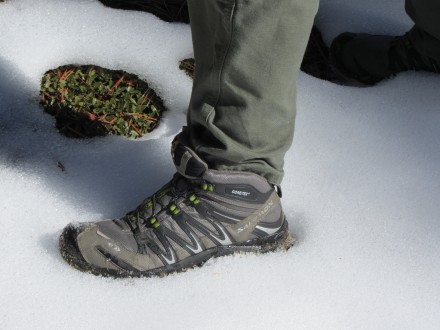 warm and dry feet!