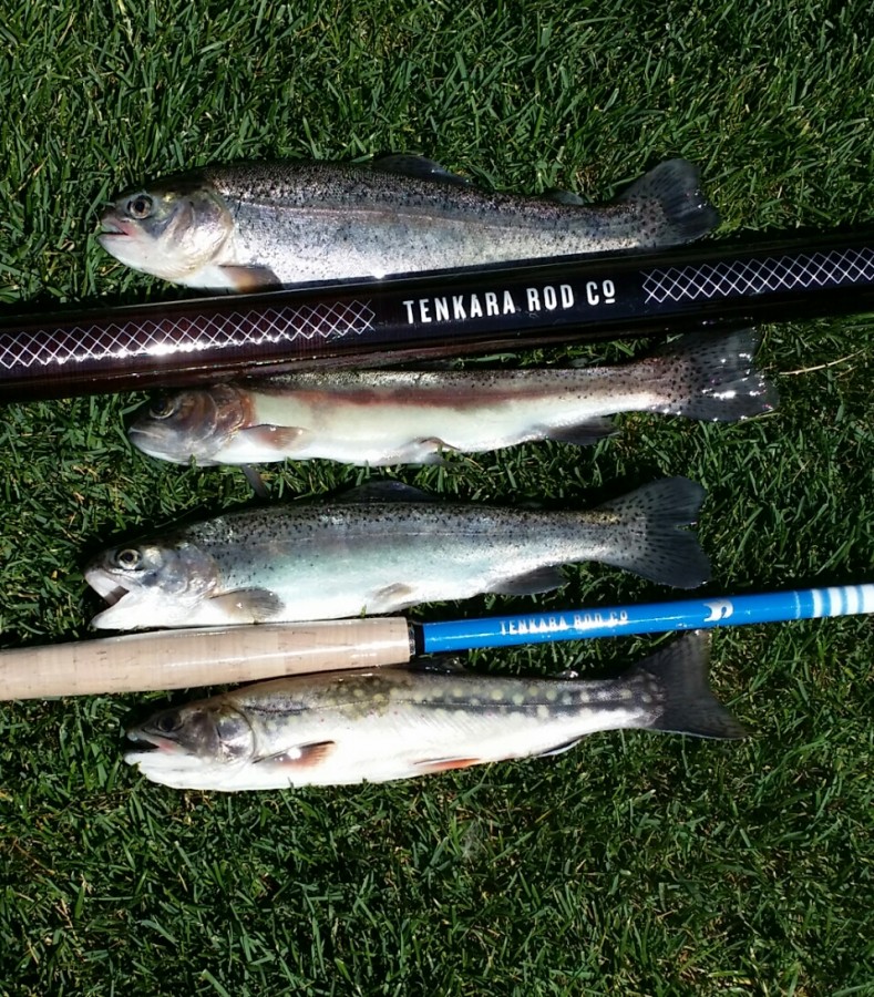 Mirror Lake 19-June-2015