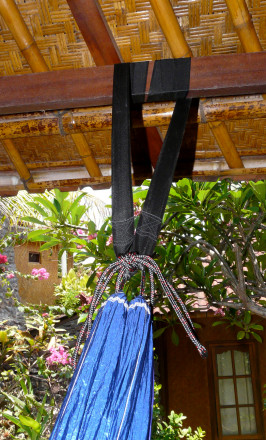 Tree Strap On My Bungalow
