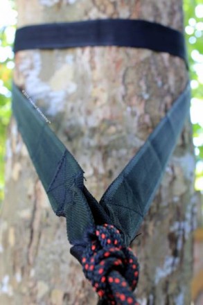 Another Tree Strap Set Up