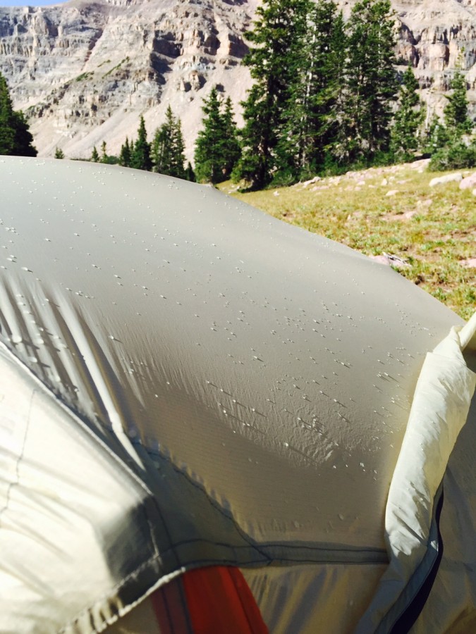 Wash everything with DWR in this