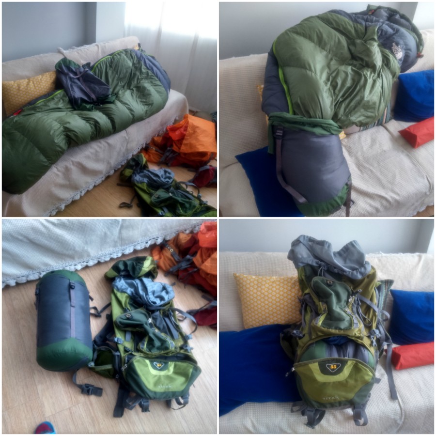 the north face furnace