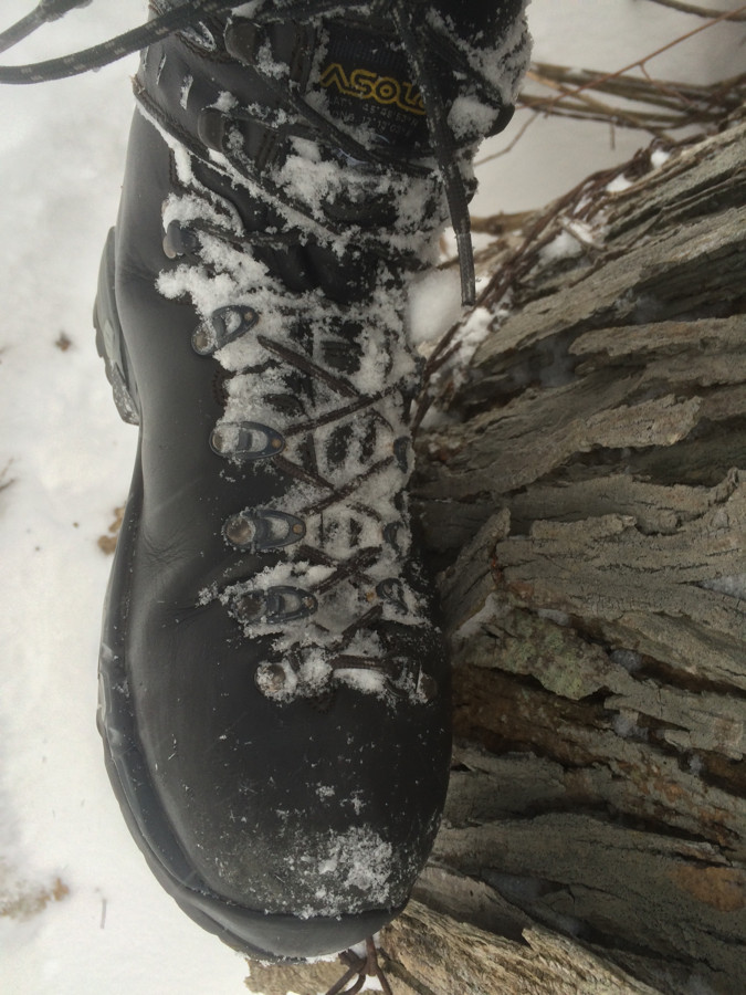 Monsters in the snow 