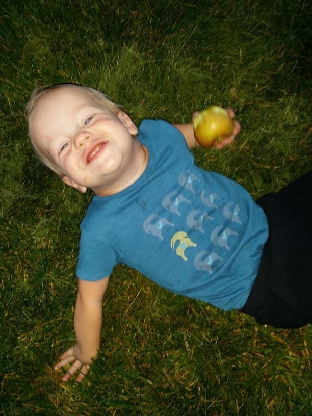 Great quality and just plain fun!