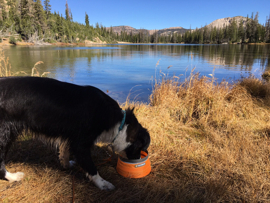 Light, compact and durable 