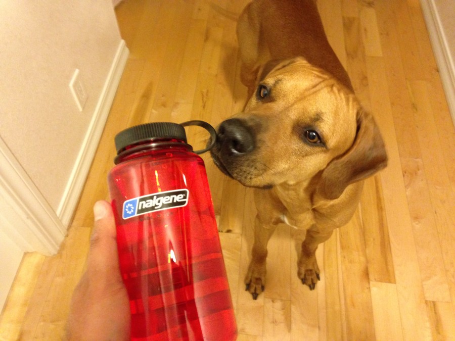 State of the art plastic water bottle 