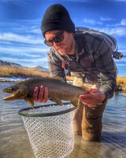 Everything You Want, and More