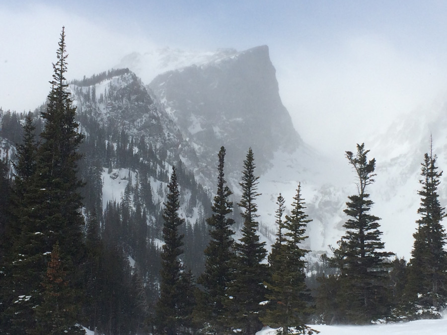 What more can you wish for?