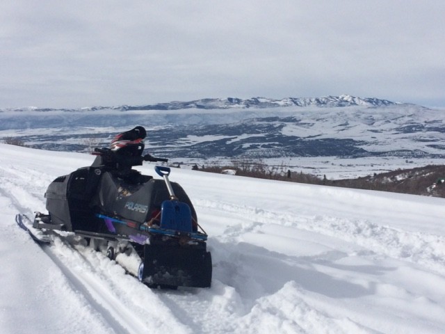 Your buddy the shovel