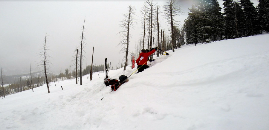 Ski Patroller's Choice