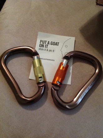 BD auto twist lock biner